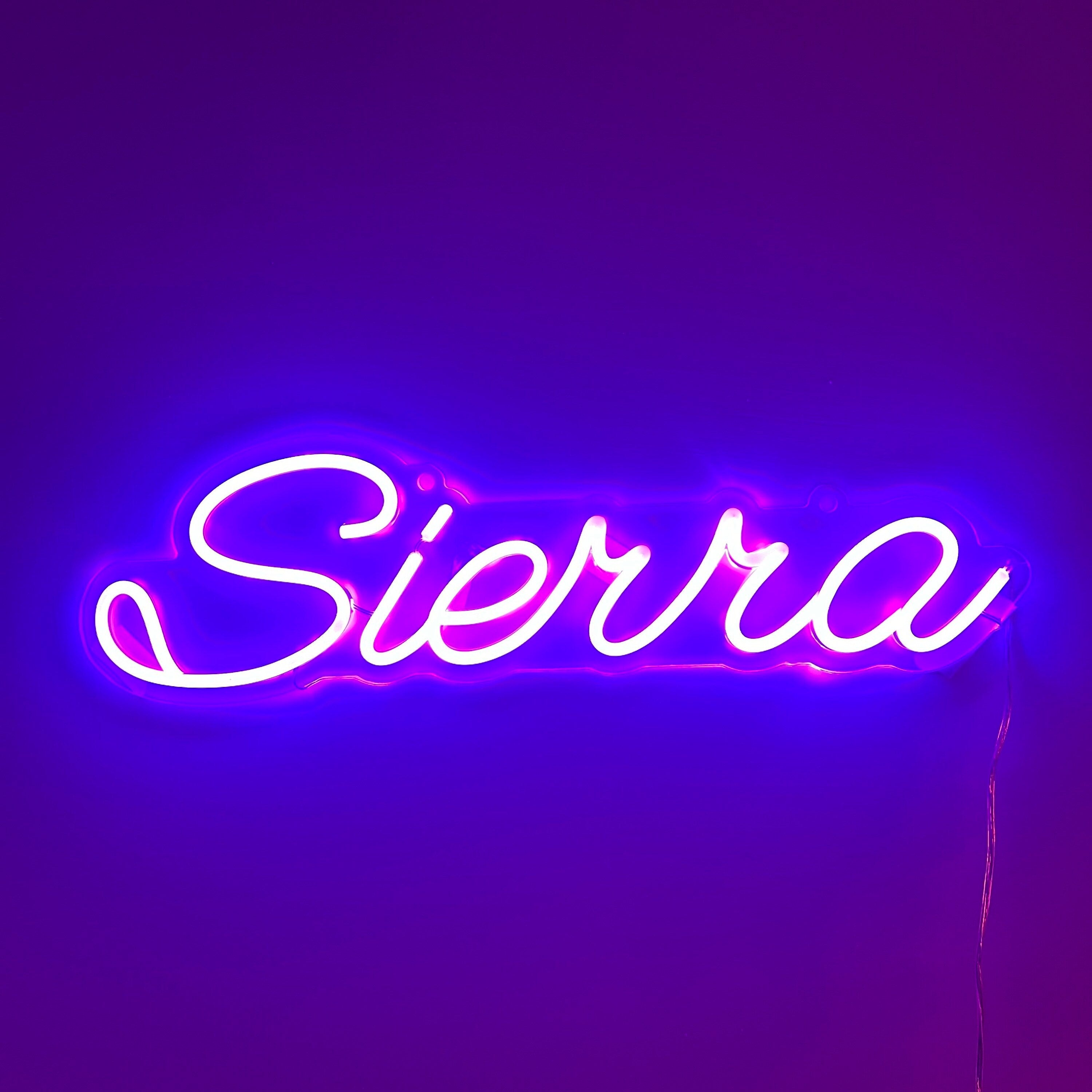 Personalized Aesthetic Neon Sign